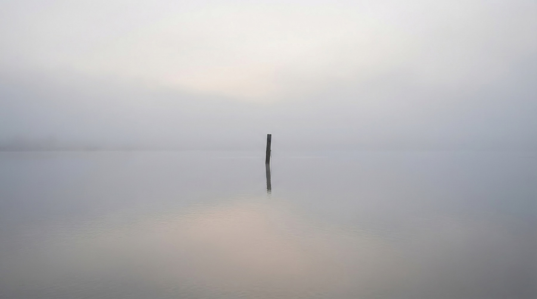 Silver fog — single post in still water, the silence between tones